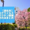 【調布市】新型コロナウイルスワクチン接種の予約方法まとめ