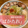 【調布市仙川町】『ばかたれ』の濃厚味噌ラーメンを久しぶりに堪能！